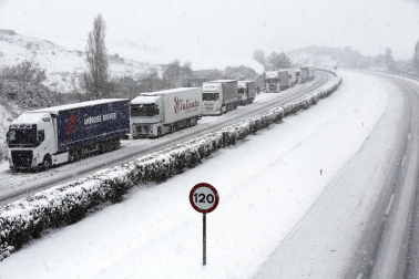 La nevada en Navarra cancela vuelos y autobuses y corta el tráfico de trenes