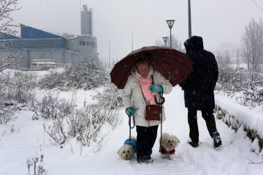 La nevada en Navarra cancela vuelos y autobuses y corta el tráfico de trenes