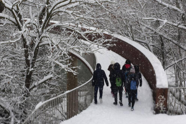La nevada en Navarra cancela vuelos y autobuses y corta el tráfico de trenes