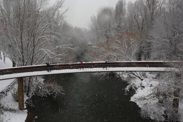 La nevada en Navarra cancela vuelos y autobuses y corta el tráfico de trenes