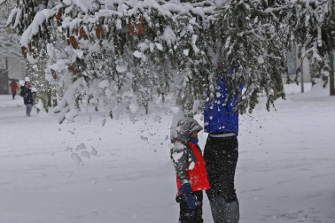 La nevada en Navarra cancela vuelos y autobuses y corta el tráfico de trenes