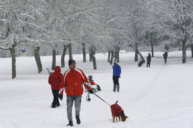 La nevada en Navarra cancela vuelos y autobuses y corta el tráfico de trenes