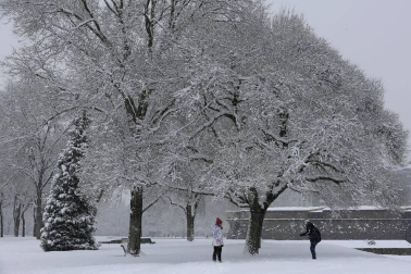 La nevada en Navarra cancela vuelos y autobuses y corta el tráfico de trenes
