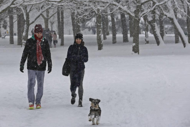 La nevada en Navarra cancela vuelos y autobuses y corta el tráfico de trenes