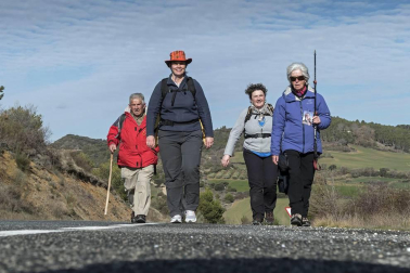 Los peregrinos emprendieron el camino a Javier desde Tierra Estella este viernes