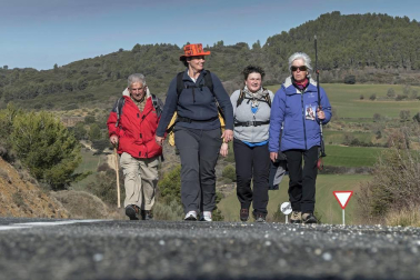 Los peregrinos emprendieron el camino a Javier desde Tierra Estella este viernes