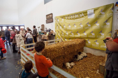 Baluarte acogió del 23 al 25 de febrero el evento Navartur 2018. La edición número trece de la Feria Internacional de Turismo de Navarra reunió una cincuentena de stands diferentes en los que los visitantes pudieron conocer destinos tanto regionales como nacionales o internacionales, además de participar en actividades o degustaciones de productos.