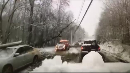 Ilesos de milagro unos bomberos tras precipitarse un árbol sobre su coche
