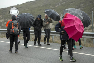 Imágenes de los miles de peregrinos que se han acercado este sábado hasta el castillo de Javier,