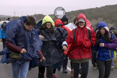 Imágenes de los miles de peregrinos que se han acercado este sábado hasta el castillo de Javier,