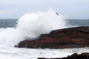 Galicia es la comunidad más afectada por la transformación de la borrasca del Atlántico norte de los últimos días en otra más intensa -denominada Félix-, que dejará durante todo el fin de semana viento intenso, olas de hasta ocho metros, fuertes vientos y abundantes precipitaciones