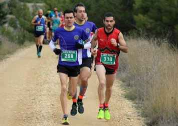 Imágenes del 'V Cross Pinares de Lerín'.