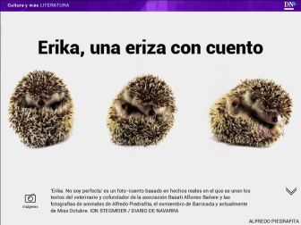 Además, cocina saludable para universitarios.