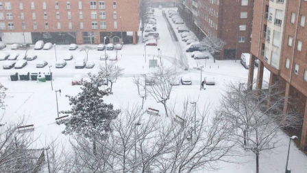 Estampas de todos los rincones de Navarra bajo el manto blanco caído el último día de febrero.