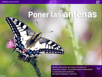 Además, España, una de las reservas de mariposas más ricas de Europa.