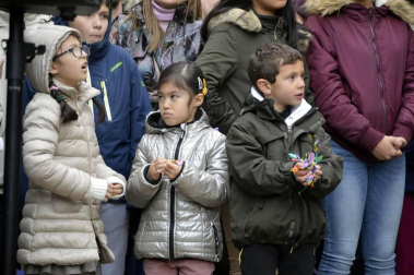 La fundación Walk on Project (WOP) ha grabado una flashmob este domingo en la plaza del Castillo de Pamplona para concienciar sobre la necesidad de investigar las enfermedades degenerativas.