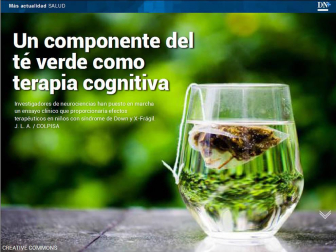 Además, la influencia positiva del té verde en las personas con Síndrome de Down