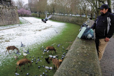 La primavera llegó el pasado martes a las 17.15 horas. La Taconera pamplonesa fue el lugar escogido para 'esperar' a la estación de la luz.