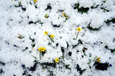 La primavera llegó el pasado martes a las 17.15 horas. La Taconera pamplonesa fue el lugar escogido para 'esperar' a la estación de la luz.