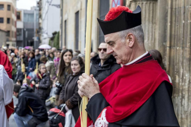 Galería de imágenes de Domingo de Ramos en Pamplona.