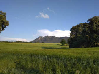 Envíanos la imagen por Whatsapp al número 687 04 00 98, indicando el lugar en el que están realizadas y el autor de las fotografías.
