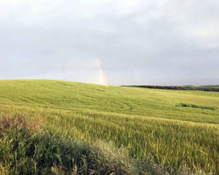 Envíanos la imagen por Whatsapp al número 687 04 00 98, indicando el lugar en el que están realizadas y el autor de las fotografías.