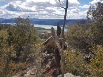 Envíanos la imagen por Whatsapp al número 687 04 00 98, indicando el lugar en el que están realizadas y el autor de las fotografías.