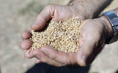Miranda de Arga es un pueblo de tradición agrícola, pero hoy sólo seis vecinos se dedican en exclusiva a esta actividad. La localidad celebró ayer la XVIII edición de su Día del Mundo Rural para preservar una forma de trabajar de siglos.