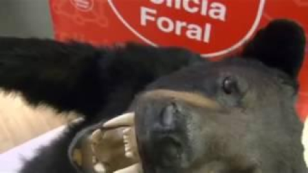 Investigado en Tudela por tráfico de especies protegidas