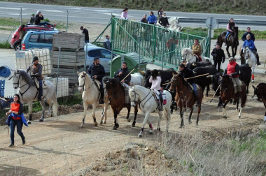 El 31 de marzo Murillo el Fruto celebró la antigua tradición de la trashumancia a caballo. Desde primera hora de la mañana los jinetes se acercaron hasta el hostal y, tras un almuerzo, salieron del pueblo para regresar a media mañana por la carretera de Ujué. Durante el día se celebró también un mercado de artesanía, una comida popular, un espectáculo de la escuela de sevillanas de Murillo, Santacara y Mélida y el concierto de un coro rociero.