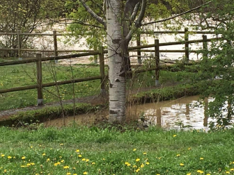 Temporal de lluvia en Navarra
