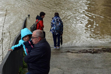El Gobierno de Navarra ha declarado la situación de preemergencia