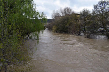 El Gobierno de Navarra ha declarado la situación de preemergencia
