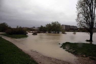 El Gobierno de Navarra ha declarado la situación de preemergencia