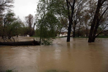 El Gobierno de Navarra ha declarado la situación de preemergencia