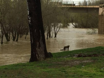 El Gobierno de Navarra ha declarado la situación de preemergencia
