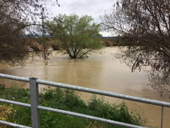El Gobierno de Navarra ha declarado la situación de preemergencia