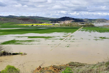 Imágenes de las inundaciones en los términos de varias localidades de la Zona Media como Falces, Miranda de Arga y Larraga.