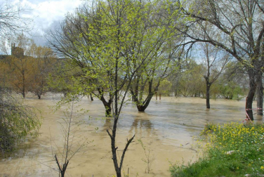 La recta de Arguedas con agua del barranco de Las Limas, cortes en la NA-134 y agua en las Bardenas tras las lluvias del 12 de abril.