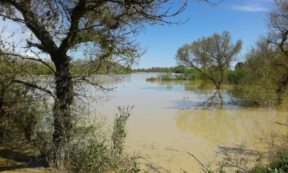La recta de Arguedas con agua del barranco de Las Limas, cortes en la NA-134 y agua en las Bardenas tras las lluvias del 12 de abril.