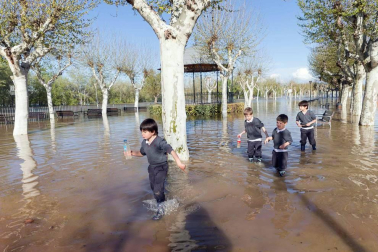 Las copiosas lluvias caídas en toda Navarra en los últimos días pusieron ayer en el punto de mira a los ríos navarros, que estuvieron en estado de alerta durante todo el día. Tras el desborde de los ríos Arga, Arakil, Ega y Aragón este jueves, para hoy el foco se centra en el Ebro, que a las cinco y veinte de la madrugada ha superado los 2.500 m³/s de caudal. A las ocho y media de la mañana, este río registra ya una altura de 7,73 metros y una traída de aguas de 2.644 m³/s.