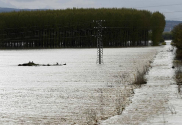 Las copiosas lluvias caídas en toda Navarra en los últimos días pusieron ayer en el punto de mira a los ríos navarros, que estuvieron en estado de alerta durante todo el día. Tras el desborde de los ríos Arga, Arakil, Ega y Aragón este jueves, para hoy el foco se centra en el Ebro, que a las cinco y veinte de la madrugada ha superado los 2.500 m³/s de caudal. A las ocho y media de la mañana, este río registra ya una altura de 7,73 metros y una traída de aguas de 2.644 m³/s.