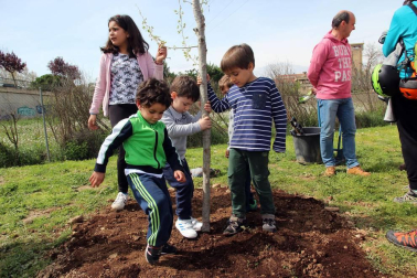 Tudela celebró una nueva edición de la Fiesta del Árbol, con la tradicional plantación de 20 árboles de 3 especies junto a la zona deportiva y cerca del antiguo silo.