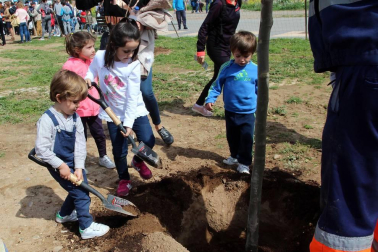 Tudela celebró una nueva edición de la Fiesta del Árbol, con la tradicional plantación de 20 árboles de 3 especies junto a la zona deportiva y cerca del antiguo silo.
