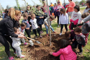 Tudela celebró una nueva edición de la Fiesta del Árbol, con la tradicional plantación de 20 árboles de 3 especies junto a la zona deportiva y cerca del antiguo silo.