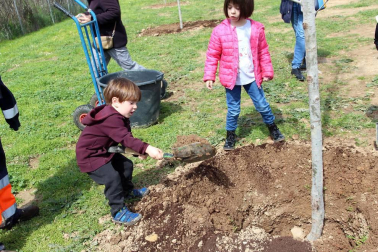 Tudela celebró una nueva edición de la Fiesta del Árbol, con la tradicional plantación de 20 árboles de 3 especies junto a la zona deportiva y cerca del antiguo silo.