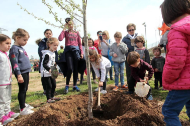 Tudela celebró una nueva edición de la Fiesta del Árbol, con la tradicional plantación de 20 árboles de 3 especies junto a la zona deportiva y cerca del antiguo silo.