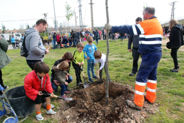 Tudela celebró una nueva edición de la Fiesta del Árbol, con la tradicional plantación de 20 árboles de 3 especies junto a la zona deportiva y cerca del antiguo silo.