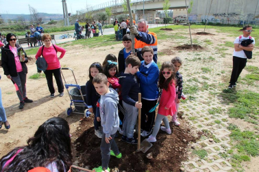 Tudela celebró una nueva edición de la Fiesta del Árbol, con la tradicional plantación de 20 árboles de 3 especies junto a la zona deportiva y cerca del antiguo silo.