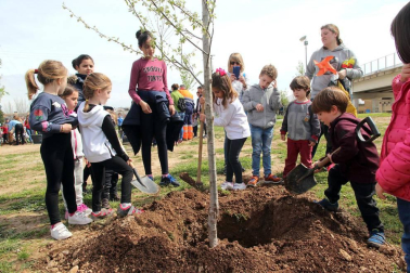 Tudela celebró una nueva edición de la Fiesta del Árbol, con la tradicional plantación de 20 árboles de 3 especies junto a la zona deportiva y cerca del antiguo silo.